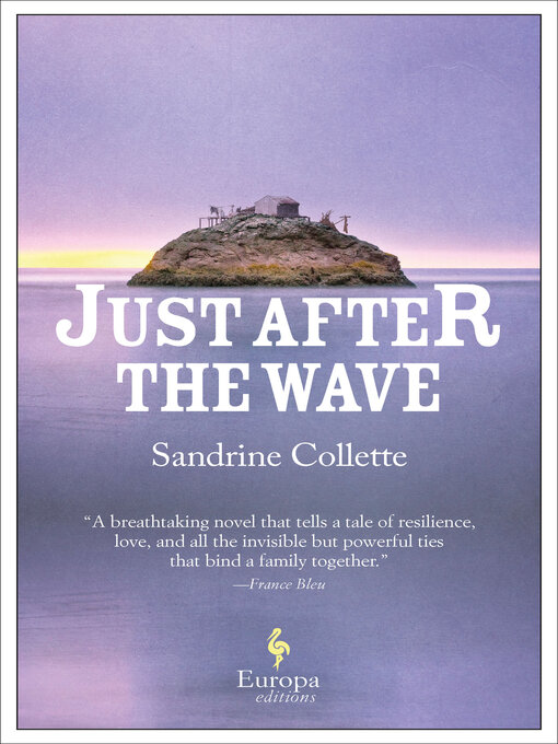 Title details for Just After the Wave by Sandrine Collette - Available